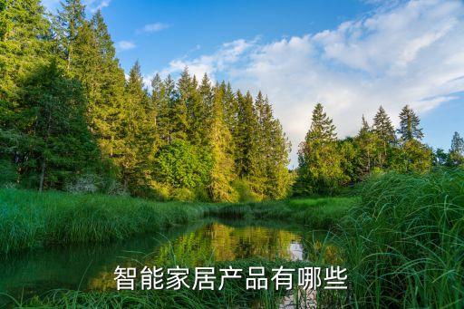 智能家居產(chǎn)品有哪些