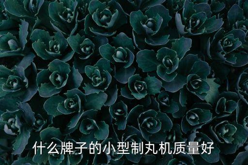 什么牌子的小型制丸機(jī)質(zhì)量好