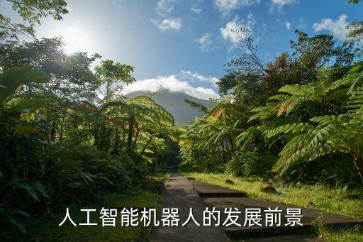 人工智能發(fā)展前沿論文3000字，人工智能的發(fā)展前景及其應(yīng)用的論文怎么寫
