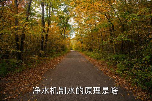 農(nóng)村飲用水一體化凈水設(shè)備原理，凈水機(jī)都有哪幾種制水原理