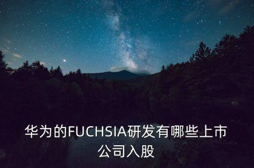 有華為概念的股票，關(guān)于華為概念股的問題
