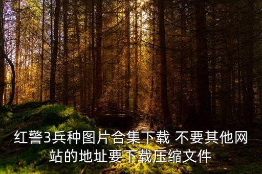 紅警3兵種圖片合集下載 不要其他網(wǎng)站的地址要下載壓縮文件