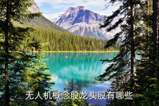 無(wú)人機(jī)股票龍頭股，無(wú)人機(jī)概念股龍頭有哪些