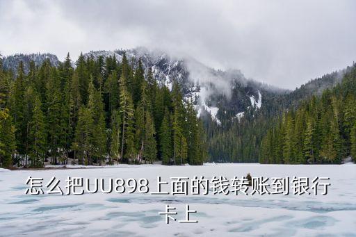豪庭app怎么提現(xiàn)到銀行卡，如何把APP里的錢轉(zhuǎn)回銀行卡謝謝