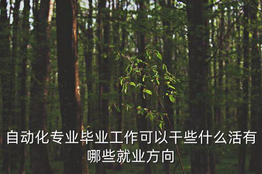 自動(dòng)化專業(yè)畢業(yè)工作可以干些什么活有哪些就業(yè)方向