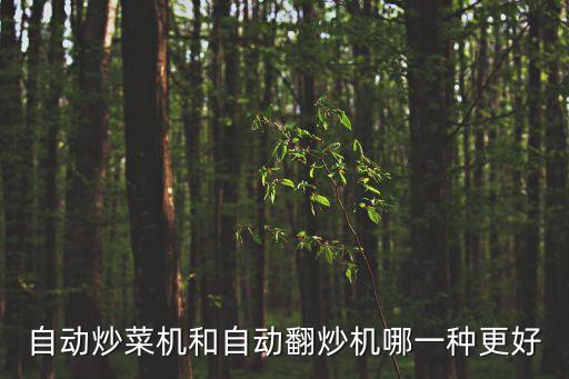 自動(dòng)炒菜機(jī)和自動(dòng)翻炒機(jī)哪一種更好