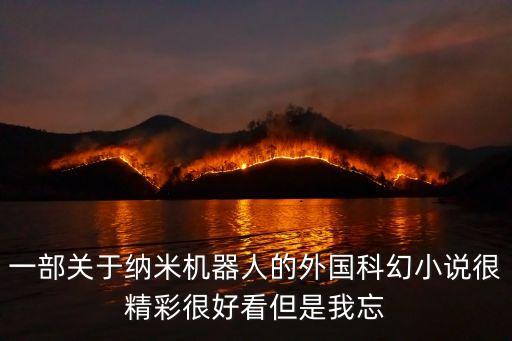 一部關(guān)于納米機(jī)器人的外國科幻小說很精彩很好看但是我忘