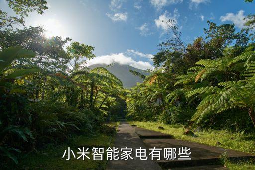 小米智能家電有哪些
