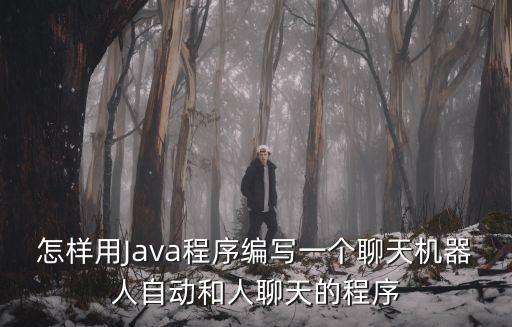 怎樣用Java程序編寫一個聊天機(jī)器人自動和人聊天的程序