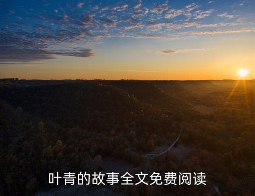葉青的故事全文免費(fèi)閱讀