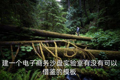 建一個電子商務(wù)沙盤實(shí)驗(yàn)室有沒有可以借鑒的模板