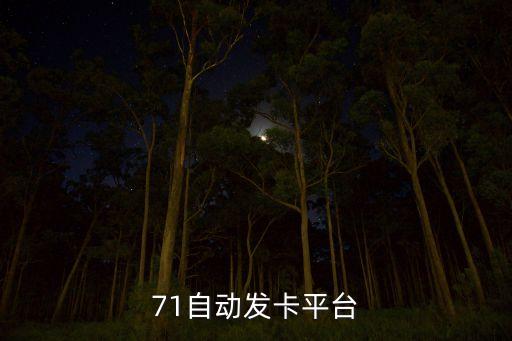 七天發(fā)卡平臺，自動發(fā)卡平臺哪個好發(fā)卡平臺有哪些