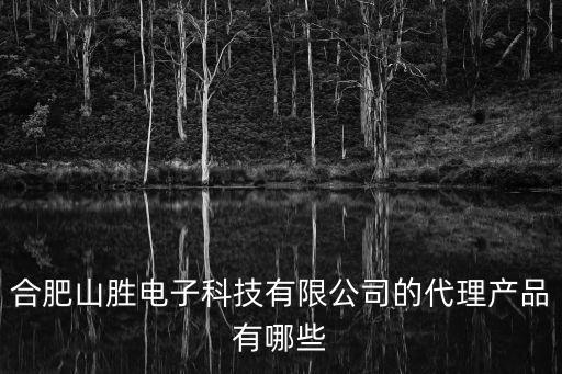 合肥山勝電子科技有限公司的代理產(chǎn)品有哪些