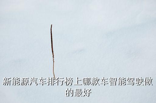 新能源汽車(chē)排行榜上哪款車(chē)智能駕駛做的最好