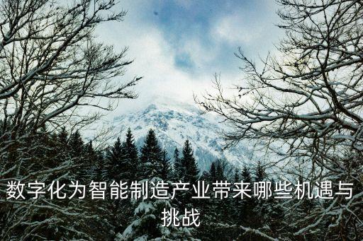 數(shù)字化為智能制造產(chǎn)業(yè)帶來哪些機遇與挑戰(zhàn)