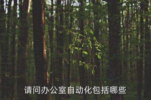 請(qǐng)問(wèn)辦公室自動(dòng)化包括哪些