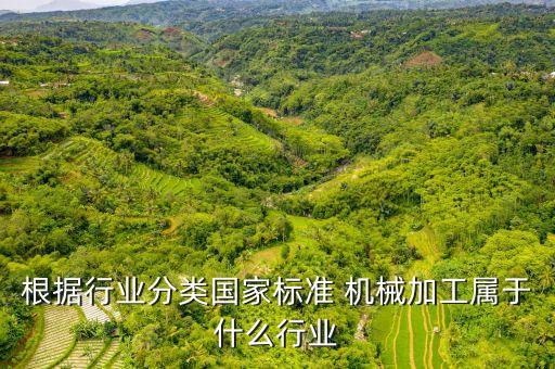 根據(jù)行業(yè)分類國家標(biāo)準(zhǔn) 機(jī)械加工屬于什么行業(yè)