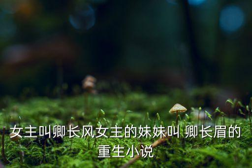女主叫卿長風女主的妹妹叫 卿長眉的重生小說