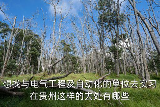 貴州自動(dòng)化公司有哪些，想找與電氣工程及自動(dòng)化的單位去實(shí)習(xí)在貴州這樣的去處有哪些