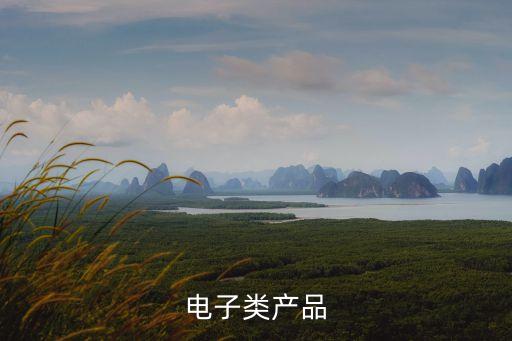 電子類(lèi)的產(chǎn)品有哪些，電子類(lèi)產(chǎn)品