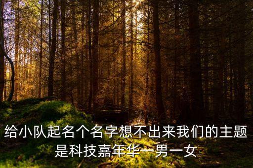 科技為主題的隊(duì)名，給小隊(duì)起名個(gè)名字想不出來(lái)我們的主題是科技嘉年華一男一女