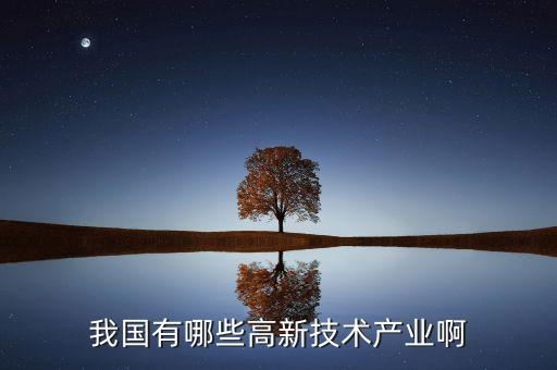 我國有哪些高新技術(shù)產(chǎn)業(yè)啊