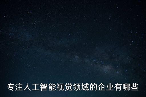 專注人工智能視覺(jué)領(lǐng)域的企業(yè)有哪些