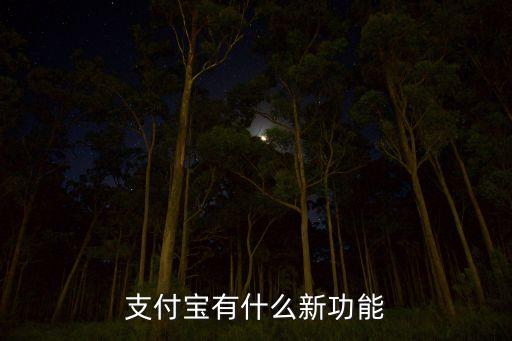 炒股的黑科技是什么東西，支付寶有什么新功能