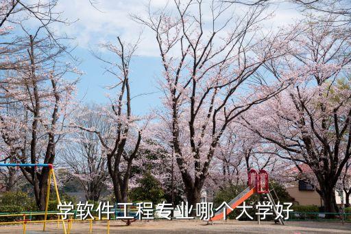 學(xué)軟件工程專業(yè)哪個(gè)大學(xué)好