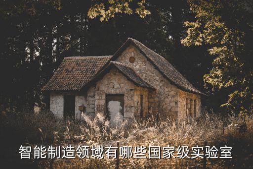 智能制造領(lǐng)域有哪些國家級實驗室