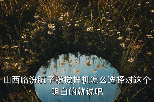 山西臨汾膩?zhàn)臃蹟嚢铏C(jī)怎么選擇對(duì)這個(gè)明白的就說(shuō)吧