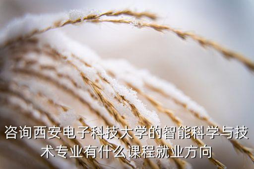 咨詢西安電子科技大學的智能科學與技術專業(yè)有什么課程就業(yè)方向