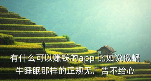 有什么可以賺錢的app 比如說(shuō)像蝸牛睡眠那樣的正規(guī)無(wú)廣告不給心