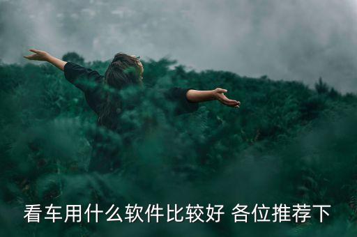 看車用什么軟件比較好 各位推薦下