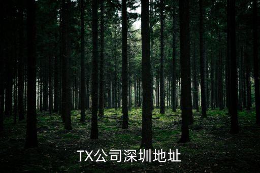 TX公司深圳地址