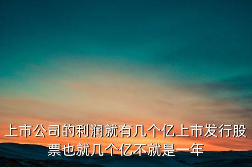 上市公司的利潤(rùn)就有幾個(gè)億上市發(fā)行股票也就幾個(gè)億不就是一年