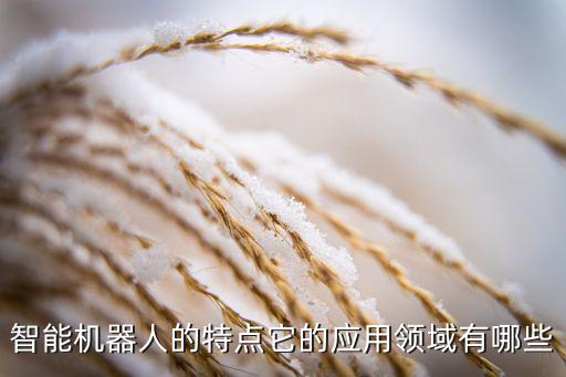 智能機器人的特點它的應(yīng)用領(lǐng)域有哪些