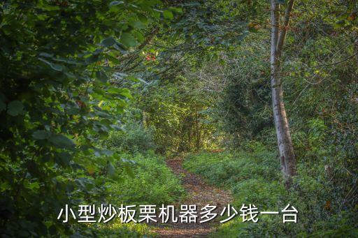 小型炒板栗機(jī)器多少錢一臺