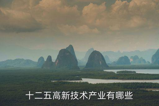 十二五高新技術產業(yè)有哪些