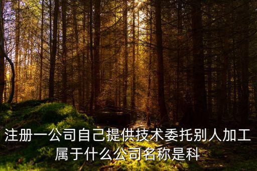 注冊一公司自己提供技術(shù)委托別人加工屬于什么公司名稱是科