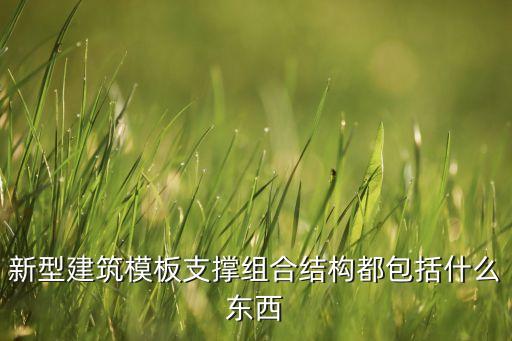 新型建筑模板支撐組合結構都包括什么東西