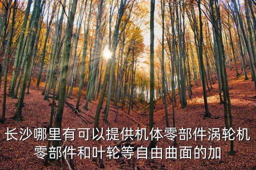 機械設(shè)備加工定制公司，在武漢想定制金屬零件武漢哪里機械加工比較多