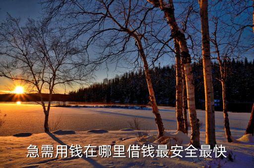 急需用錢在哪里借錢最安全最快