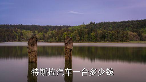 特斯拉汽車一臺(tái)多少錢
