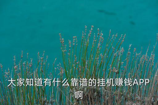 大家知道有什么靠譜的掛機賺錢APP啊