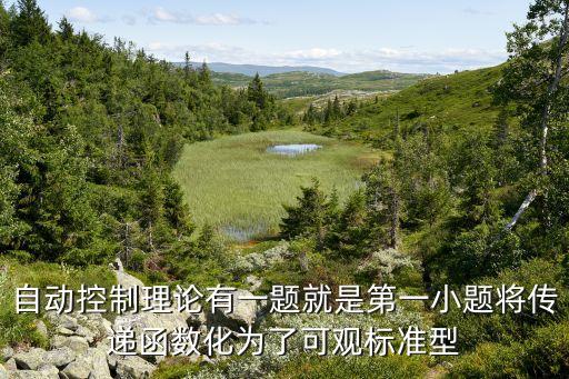 自動(dòng)控制理論有一題就是第一小題將傳遞函數(shù)化為了可觀標(biāo)準(zhǔn)型