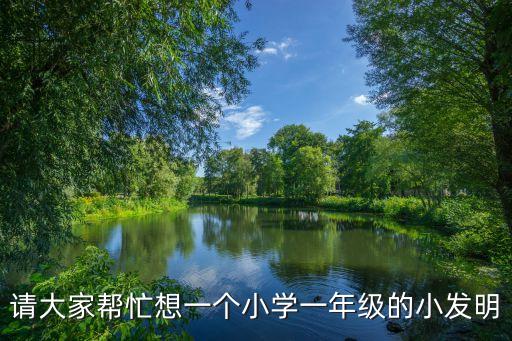 請(qǐng)大家?guī)兔ο胍粋€(gè)小學(xué)一年級(jí)的小發(fā)明