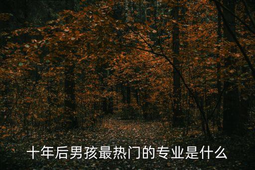 十年后男孩最熱門的專業(yè)是什么