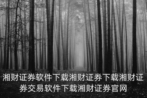 湘財證券軟件下載湘財證券下載湘財證券交易軟件下載湘財證券官網(wǎng)
