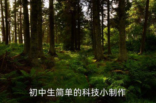 初中生科技小制作簡單，初中生簡單的科技小制作